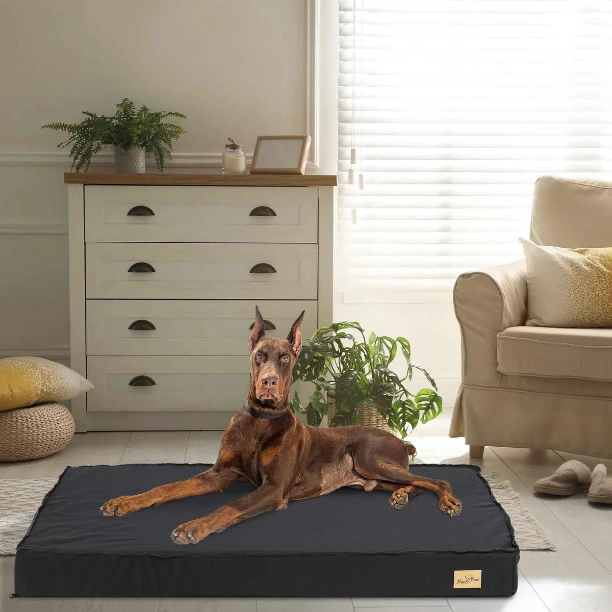 Orthopedic Foam Dog Bed with Washable Cover