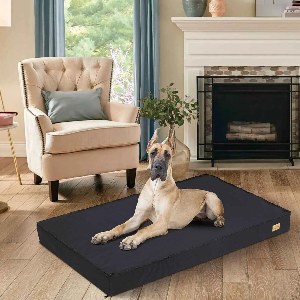 Orthopedic Foam Dog Bed with Washable Cover