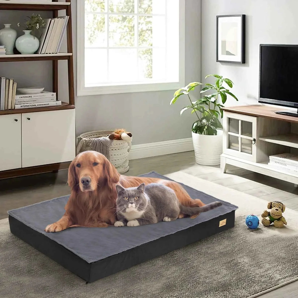 Orthopedic Foam Dog Bed with Washable Cover