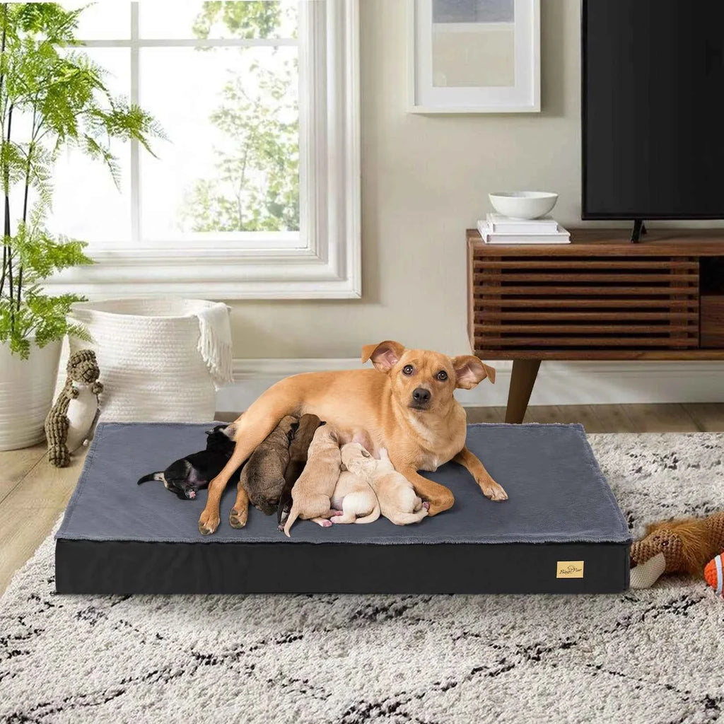 Orthopedic Foam Dog Bed with Washable Cover