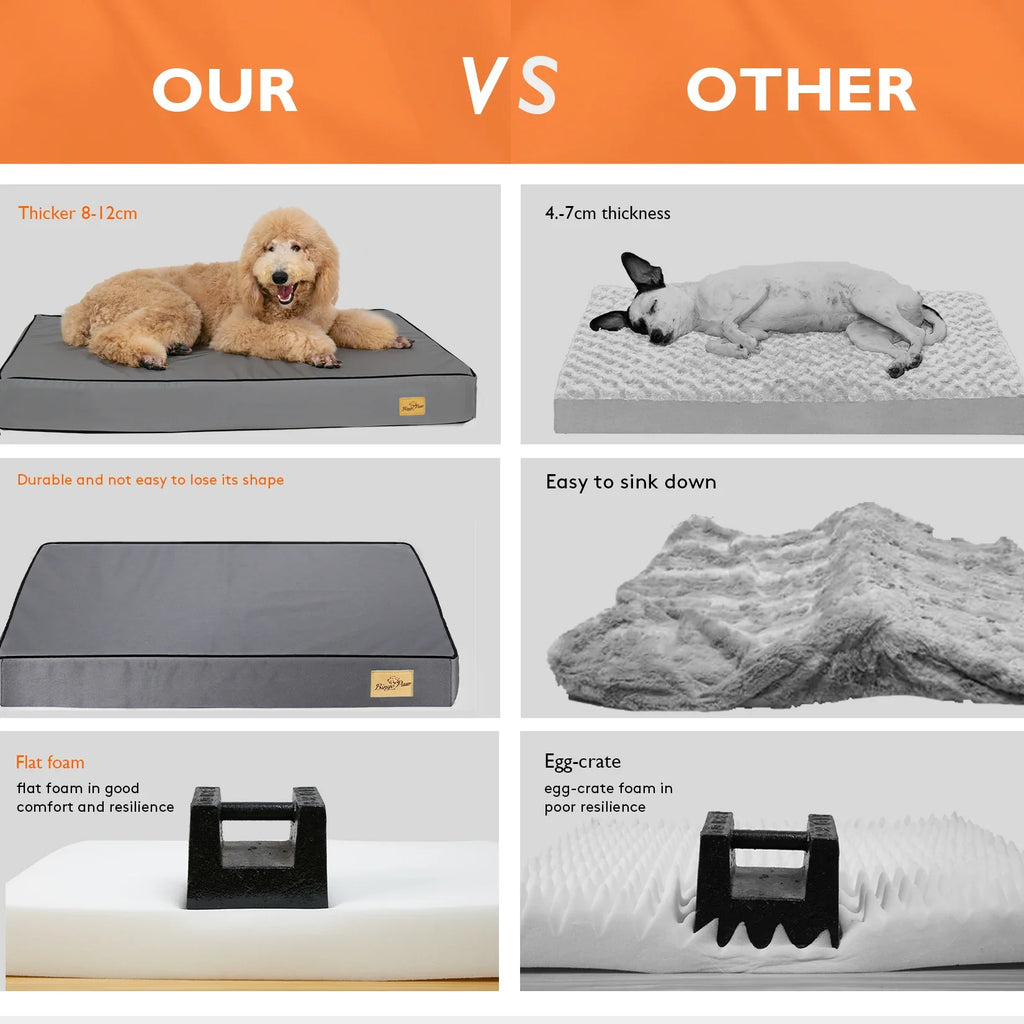 Orthopedic Foam Dog Bed with Washable Cover