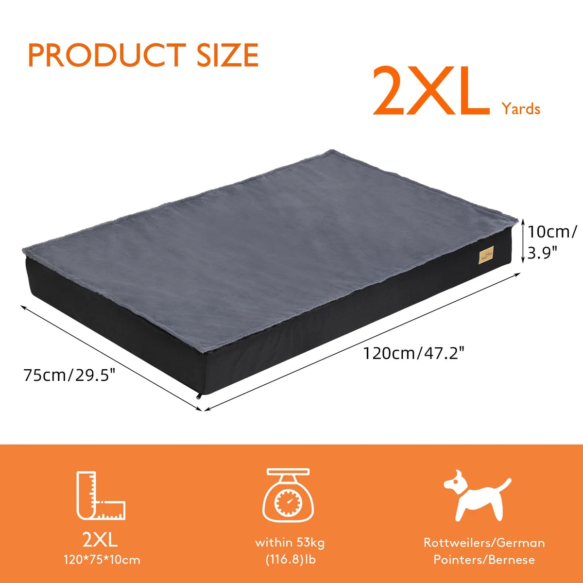 Orthopedic Foam Dog Bed with Washable Cover