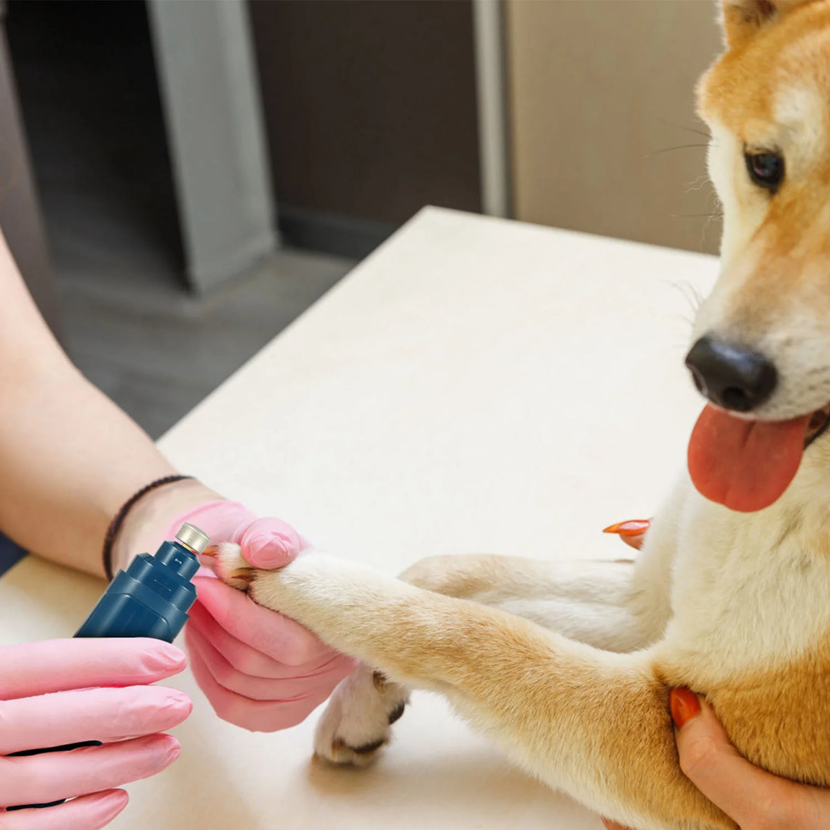 Quiet Rechargeable Pet Nail Grinder