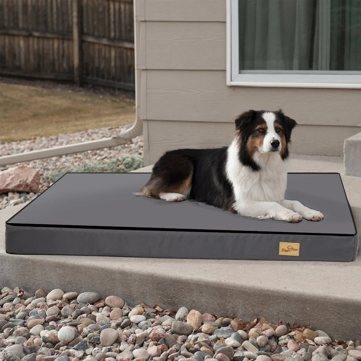 Orthopedic Foam Dog Bed with Washable Cover