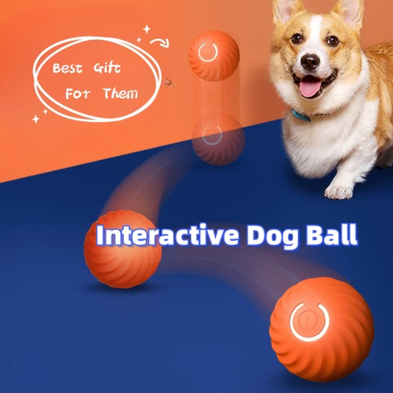 Self-Bouncing Smart Ball for Dogs