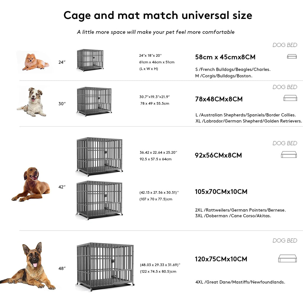 Orthopedic Foam Dog Bed with Washable Cover